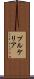 プルケリア Scroll