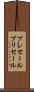 プレセール Scroll