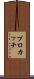プロカッチ Scroll
