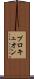 プロキュオン Scroll