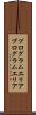 プログラムエリア Scroll