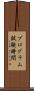 プログラム試験時間 Scroll