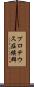プロテウス症候群 Scroll