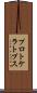 プロトケラトプス Scroll