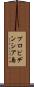 プロビデンシア島 Scroll