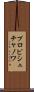 プロピシュチャノワ Scroll
