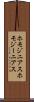 ホモジニアス Scroll