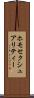 ホモセクシュアリティー Scroll