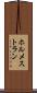 ホルメストラン Scroll