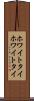 ホワイトタイ Scroll