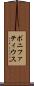 ボニファティウス Scroll