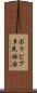 ボリビア多民族国 Scroll