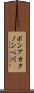 ボンアカタノンペ川 Scroll