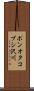 ポンオタコブシ沢川 Scroll