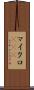 マイクロRNA Scroll