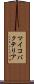 マイコバクテリア Scroll