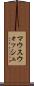 マウスウォッシュ Scroll