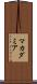マカダミア Scroll