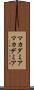 マカダミア Scroll