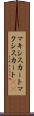マキシスカート Scroll