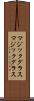 マジックグラス Scroll