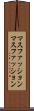 マスファッション Scroll