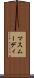 マスムーディ Scroll