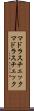 マドラスチェック Scroll