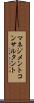 マネジメントコンサルタント Scroll