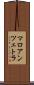 マロアンツェトラ Scroll