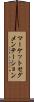 マーケットセグメンテーション Scroll