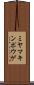 ミヤマキンポウゲ Scroll