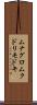 ムナグロムクドリモドキ Scroll