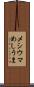 メシウマ Scroll
