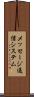 メッセージ通信システム Scroll