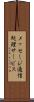 メッセージ通信処理サービス Scroll