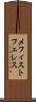 メフィストフェレス Scroll