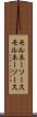 モルネーソース Scroll