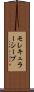 モレキュラーシーブ Scroll