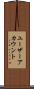ユーザーアカウント Scroll