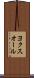 ヨクスオール Scroll