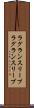 ラグランスリーブ Scroll