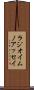 ラジオイムノアッセイ Scroll