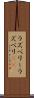 ラズベリー Scroll