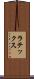 ラテックス Scroll