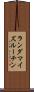 ランダマイズルーチン Scroll