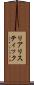 リアリスティック Scroll