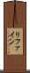 リファイン Scroll
