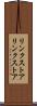 リンクストア Scroll