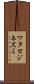 ワタセジネズミ Scroll
